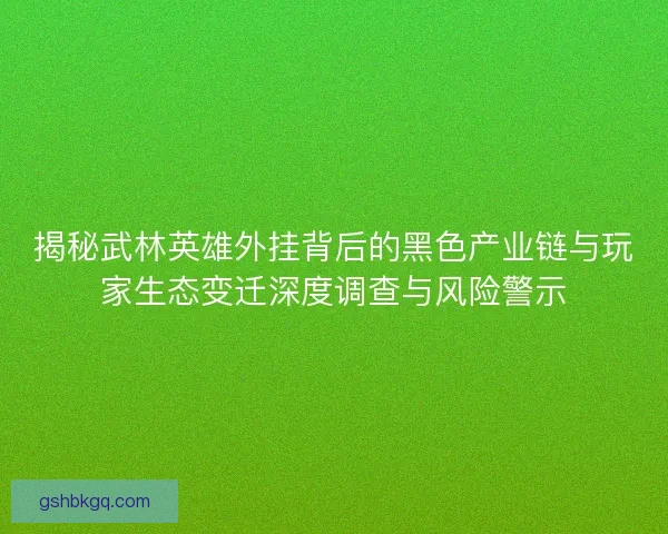揭秘武林英雄外挂背后的黑色产业链与玩家生态变迁深度调查与风险警示